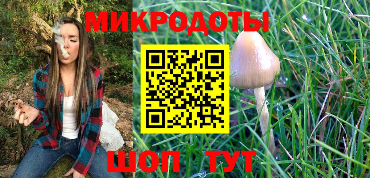 Павловский Посад  Галлюциногенные грибы Cubensis  Псилоцибиновые грибы прущие грибы  Вход с VPN 